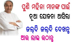 ମହିଳା ମାନଙ୍କ ପାଇଁ ନୂଆ ଯୋଜନା ଦେଖନ୍ତୁ । Odia khabar  / Odia News /