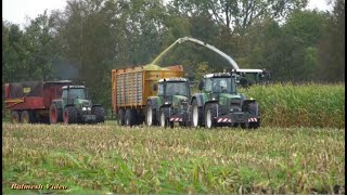 Maize Harvest with Claas 940 and Fendt Team.