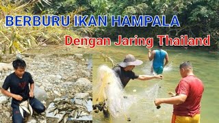 MAU BERBURU IKAN HAMPALA DI SUNGAI‼️ Mudahnya Menangkap Ikan Menggunakan Jaring Thailand #Ramadhan