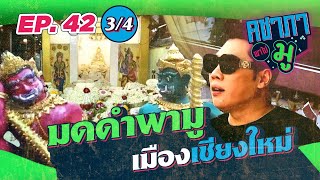 คชาภาพาไปมู EP42 [3/4] มดดำพามู เมืองเชียงใหม่ | AtimeOnline