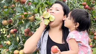 Mukbang Fresh Apples #crunchy #fresh #organic  #fruit #farm