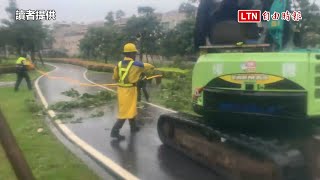 高雄男違規行駛綠園道遭路樹壓傷 警將開罰(讀者提供)