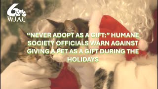 Humane society officials warn against gifting pets during the holidays