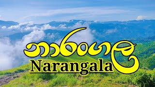 බදුල්ල නාරංගල කන්ද තරණය | Climbing Narangala Mountain in Badulla | @Sundaralanka123