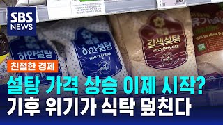 설탕 가격 상승 이제 시작?…기후 위기가 식탁 덮친다 / SBS /친절한경제