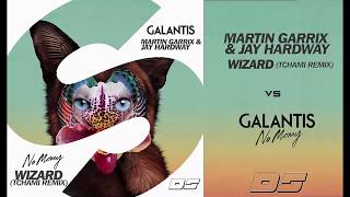 Martin Garrix & Jay Hardway vs Galantis - Wizard (Tchami Remix) vs No Money (Dario Sessa Mashup)