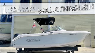 2020 Robalo R207 DC [WALKTHROUGH] - Tierra Verde, FL