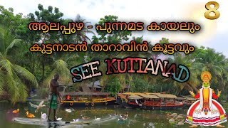 See Kuttanad / Alappuzha - Punnamada kayal, Ambalappuzha sree krishna temple \u0026 Karumadi kuttan.