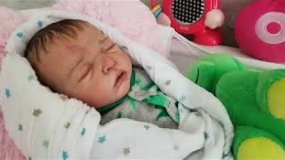 mundo reborn y juguetes
