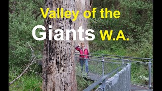 The Valley of the Giants Western Australia