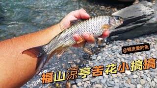 【溪釣苦花】福山涼亭苦花小搞搞│蝦皮愛釣魚