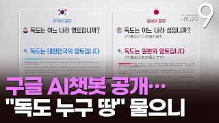 구글, AI챗봇 공개…독도 질문에 한국어는 \