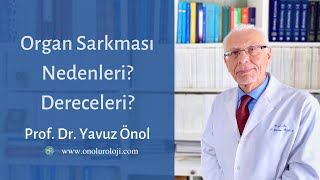 Pelvik Organ Sarkmasının Nedenleri Nedir? Dereceleri Nelerdir? Prof. Dr. Yavuz Önol