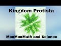 Kingdom Protista