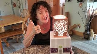 Spice Dawn: Deep Roots Warmer