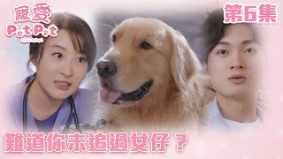 寵愛Pet Pet｜難道你未追過女仔？｜周嘉洛｜林夏薇｜甜寵｜喜劇｜TVB港劇精華