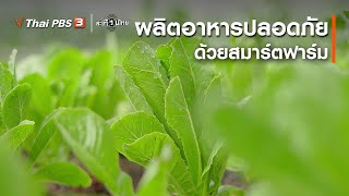 ผลิตอาหารปลอดภัยด้วยสมาร์ตฟาร์ม : นักสร้างความเปลี่ยนแปลง