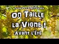 TAILLE D'ÉTÉ ou EN VERT DES VIGNES ! DU 🍇 RAISINS 🍇 AU JARDIN POTAGER EN PERMACULTURE :D