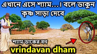 vrindavan, এখানে এসে শ্যাম...। বলে ডাকুন। কৃষ্ণ সাড়া দেবে কৃষ্ণ। বৃন্দাবন ভ্রমণ, krishna leela