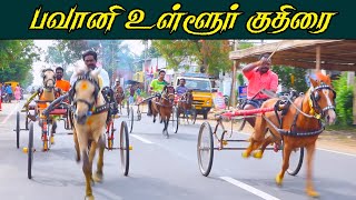 உள்ளூர் குதிரை பவானி 14/08/2022 ullur kuthirai bhavani 14/08/2022 horce race pavani