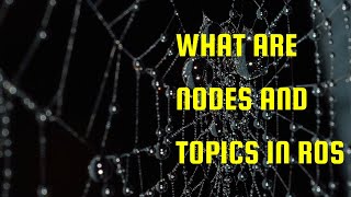 What are nodes and topics in ROS and how to use them