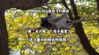 大疆mini4pro自动飞行测试 真“无人机”？毛子最爱？这次面对树枝会炸鸡吗？大疆 大疆mini4大疆无人机