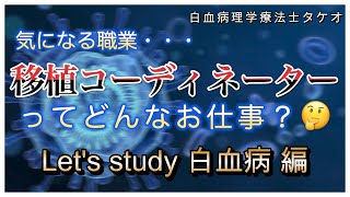 移植コーディネーターってどんなお仕事？　Let's study 白血病編