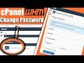 How to change cPanel or WHM password easily