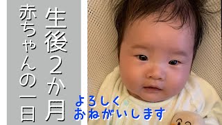 【生後２か月】赤ちゃんの１日 ママ＆パパとの日常（ルーティン）