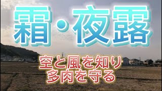 【倉敷多肉工房】霜･夜露のメカニズムを解説します☝️