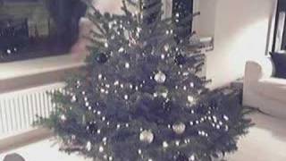 Optuigen van een kerstboom (Decorating a Christmas tree)