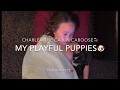 Louisiana Puppy Love with C3  🐶❤️