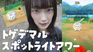 トゲデマルのスポットライトアワーで色違いを狙った結果【ポケモンGO】