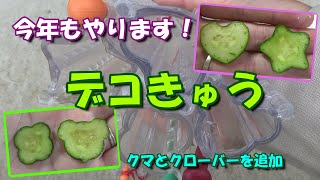 【家庭菜園】今年もやりますデコきゅう！－ホシとハートに新たにクローバーとクマを追加－