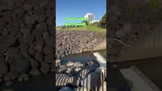 NZ- #coastal #walkway #newzealand #newplymouth #lifeinnewzealand #springseason