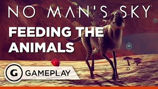 No Man's Sky - Feeding the Animals