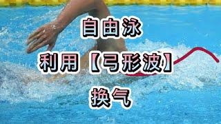 自由泳换气，利用弓形波更轻松换气