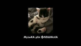 музыка для флешмоба|музыка для тебя❣️