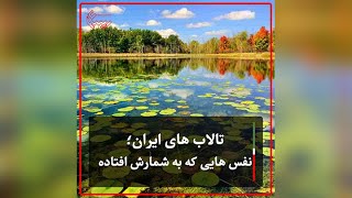 تالاب های ایران؛ نفس هایی که به شمارش افتاده