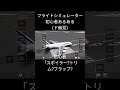 フライトシミュレーター初心者あるある ド偏見 【infinite flight】