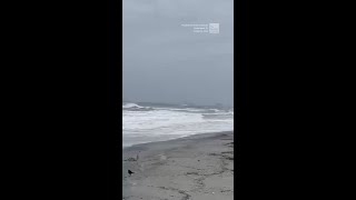 Watch as king swells surge over Myrtle Beach, turning sidewalks into shorelines.