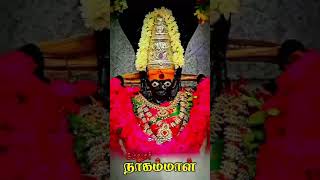 melur nagamma kovil 🙏🌺💯