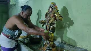 Sri Rajagopalaswamy Rohini Thiruvadi Thirumanjanam / Krishna Alankaram