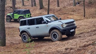 Дельфин почти привык к АППАРАТУ, #OFFROAD  по песочку от Ford Bronco до Chery QQ