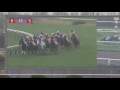 2014年11月9日 5r メイクデビュー京都 新馬 サラ系2歳 2000m 芝・右 シャイニングレイ