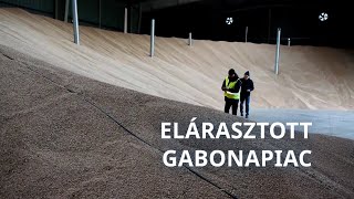 Europeo – Az ukrajnai háború átrendezi a globális gabonapiacot