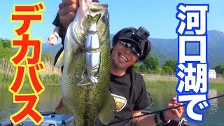 山梨遠征！富士山のふもとでデカバスを釣る！