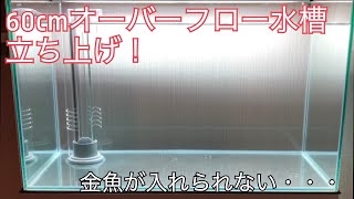 金魚が入れられない！？60cm水槽立ち上げ！