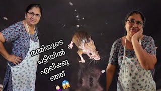 മമ്മിയുടെ ചട്ടിയിൽ ചുണ്ടെലി കയറിയപ്പോൾ