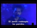 The cure - Friday i'm in love - Live 1992 Subtitulada